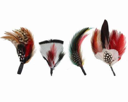 Akubra Hat Feather - 2 pcs per order
