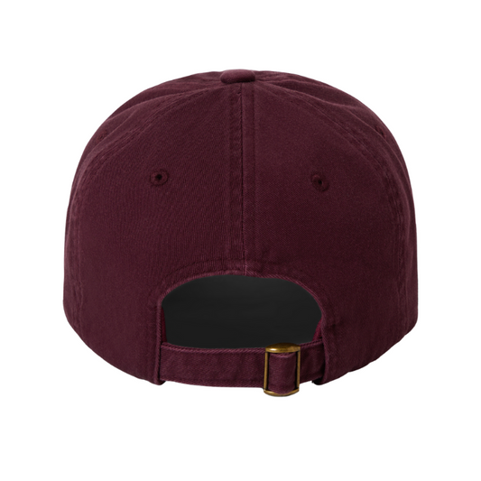 Brixton Alpha NP LP Cap - Port Rinse