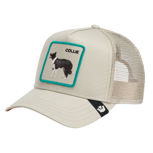Goorin Shadow Border Collie Trucker - Scout