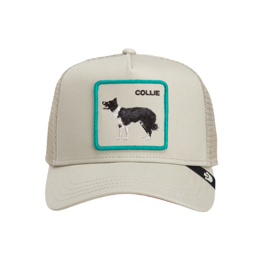 Goorin Shadow Border Collie Trucker - Scout