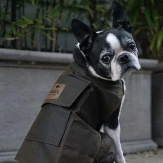 Jacaru Oilskin Dog Coat - Brown