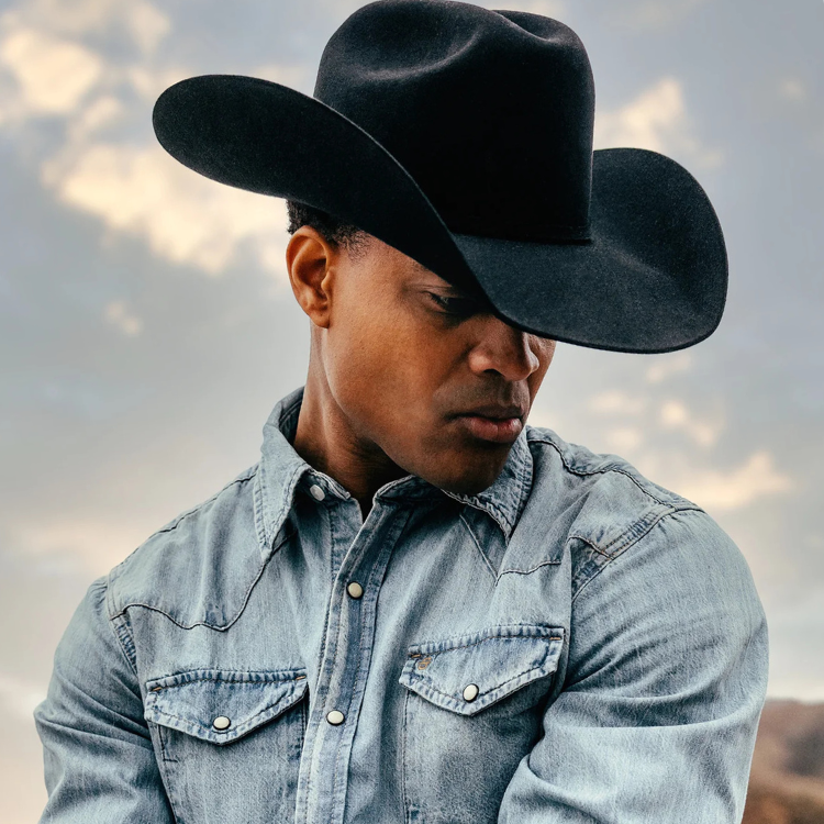 Stetson Skyline Stetson Cowboy Hats For Sale Stetson Skyline 6x